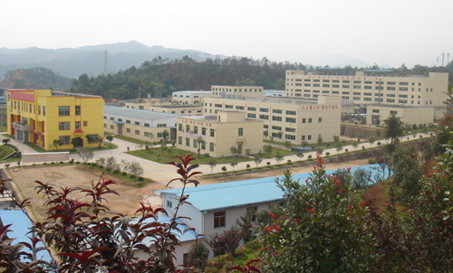 化工产业龙头企业—福建百花化学股份有限公司全景图.jpg