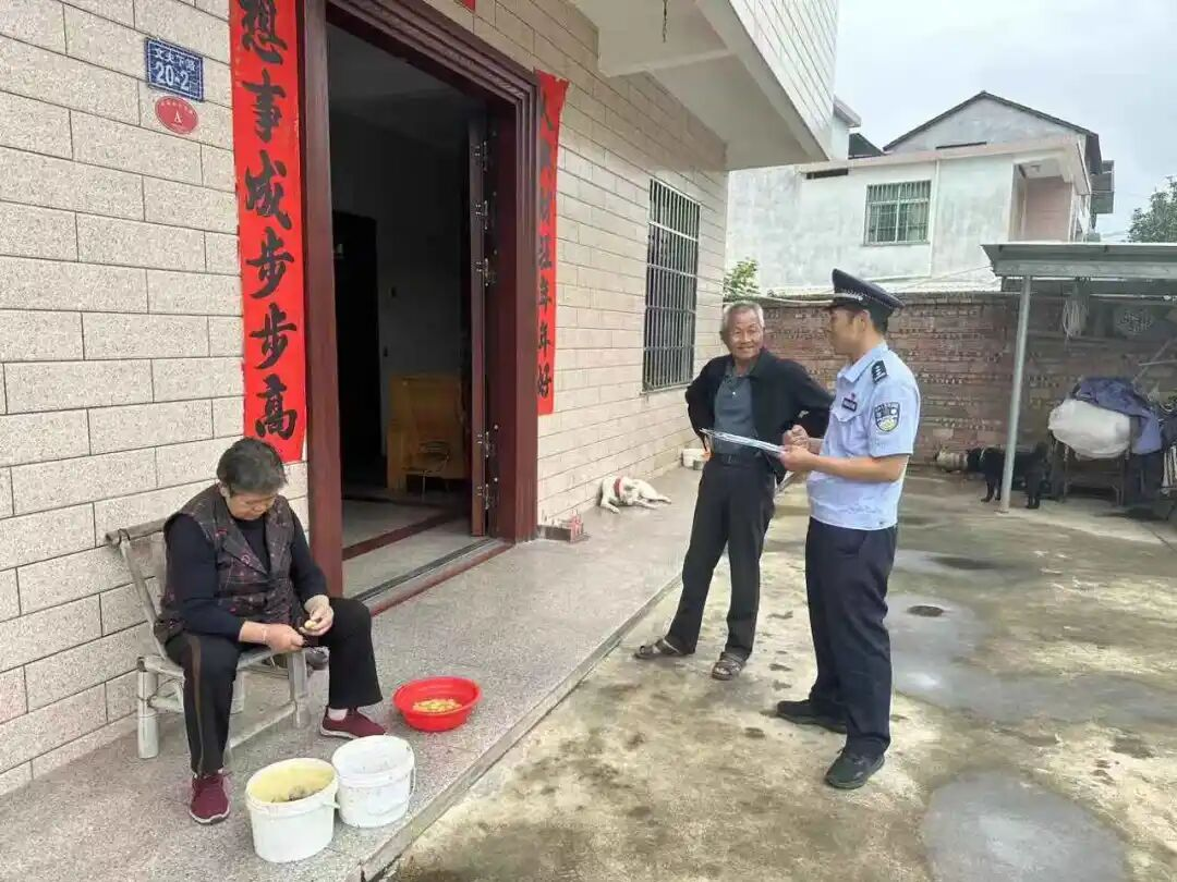 图片6